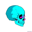 𝐒𝐊𝐔𝐋𝐋乡