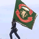 Irish Volunteer Brigade ☘