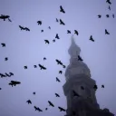 Pretty's Murder Palace