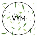 Virtual Youth Ministries