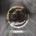 Dippa Dots