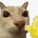 𝗢𝗻𝗶𝘀𝗵𝗮 頹