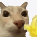 𝗢𝗻𝗶𝘀𝗵𝗮 頹