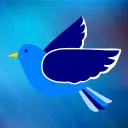 Blue Bird games