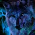 The Wolf Pack's icon