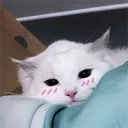 KEPING YT