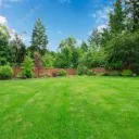 The Backyard