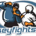 The Old Hockeyfights.com Forum Posters