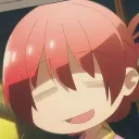 Koi Aimers