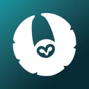 Open Owl Studios