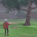 Incursionistas del árbol