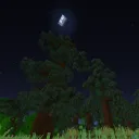 WixardMC