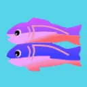 Coding on Glitch