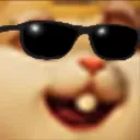 HAMSTER SQUAD