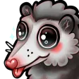 Possum Posse