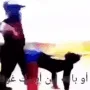 Адская ночь