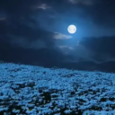 Discovery icon for /bladeee ⋆-☾˚･ 2k £100 giveaway Discord server