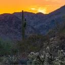 Desert Clubhouse