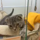 おはなし！