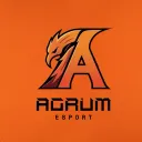 Agrum E-Sport