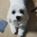 木皆木皆