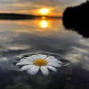 🌼..Escape..🎐