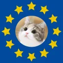European Task Force
