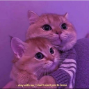 GOATED ˢᵉʳᵛᵉʳ Discord server icon