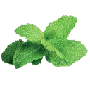 MintyLand