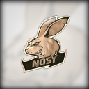 Nosy Customs - West Server Icon