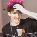 Albert Appreciation