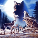 The Wolves DenðŸº Server Icon