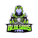 Renesans E-Sports icon
