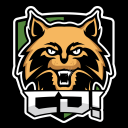 Cat Destroyer icon