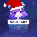 Night Sky