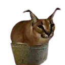 FloppaDev
