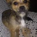 Valentin