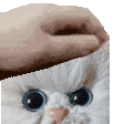Itty Bitty Kitties