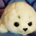 Silly Seal Server
