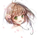 Sakura Bot