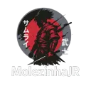 MolezinhaJR