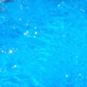THE POOL