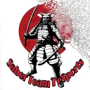 Saber team 7 eSports