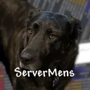 ServerMens