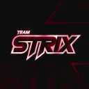 Team Strix