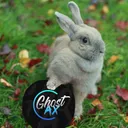 Twitch Ghostax6