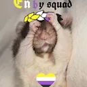 enbysquad 🐝