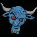 The Brahma Bull