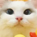 tururu