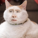 memescord Server Icon